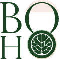 boho wellness logo